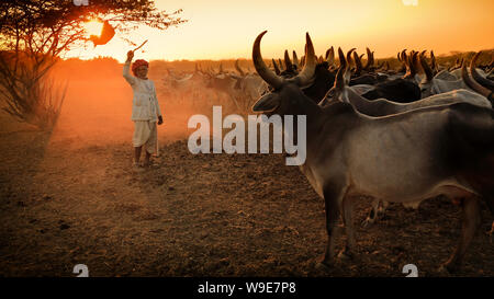 Rabari Herder in einem ländlichen Dorf im Bezirk von Kutch, Gujarat. Die Region Kutch ist bekannt für seine Stammesleben und traditionelle Kultur bekannt. Stockfoto