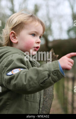 Zwei Jahre alter Junge ist in der ganzen Welt interessiert: Mottisfont, Hampshire, UK. MODEL RELEASED Stockfoto