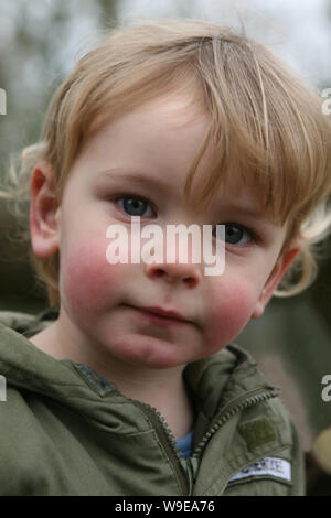Zwei Jahre alter Junge schaut der Fotograf: Mottisfont, Hampshire, UK. MODEL RELEASED Stockfoto