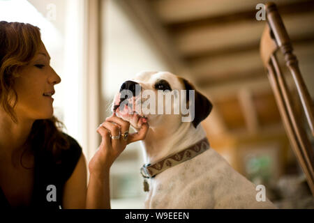 Junge Frau Streichelzoo mit ihrem Hund. Stockfoto