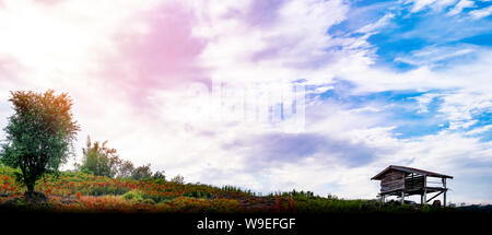 Ländliche Szene verlassenen Hütte mit schönen Himmel und Cloud befindet, die Sonne über eine Bergkette im Hintergrund Stockfoto