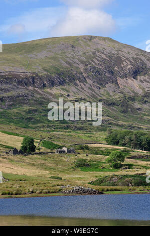 Der siehe Llyn Cwmystradllyn in den Bergen von Wales in der Nähe von Porthmadog Stockfoto