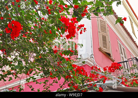 Traditionelle bunte Gebäude und rot Bougainvillea Blumen an Stadt Nafplio Griechenland Stockfoto