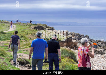 Touristen zu Fuß entlang der Küste weg in Fermanville im Sommer, Cap Lévi/Levi Cape, Manche, Cotentin, Normandie, Frankreich Stockfoto