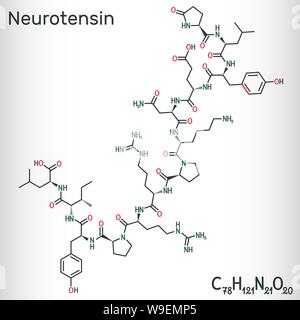 Neurotensin, 13 Aminosäuren neuropeptid Molekül. Strukturelle chemische Formel. Vector Illustration Stock Vektor