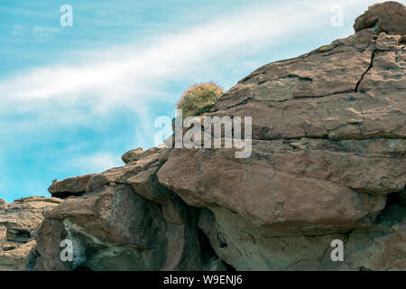 Yerbas Buenas Petroglyphen: Alte Felszeichnungen auf den Felsen in San Pedro de Atacama, Atacama-wüste, Chile, Südamerika Stockfoto