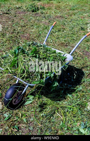 Bügeleisen Trolley für das manuelle Verschieben von Baustoffen im Garten und im Hinterhof stehen auf dem Rasen. Garten arbeiten. getrocknete Kräuter, Gras auf Stockfoto