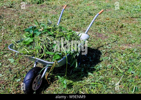 Bügeleisen Trolley für das manuelle Verschieben von Baustoffen im Garten und im Hinterhof stehen auf dem Rasen. Garten arbeiten. getrocknete Kräuter, Gras auf Stockfoto