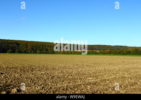 Herbst in den Feldern von wickede an der Ruhr im Kreis Soest in Nordrhein-Westfalen Stockfoto