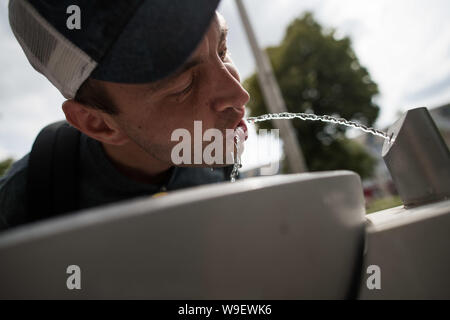 Berlin, Deutschland. 12 Aug, 2019. Patrick stillt seinen Durst an der Berliner Wasserbetriebe. Quelle: Jörg Carstensen/dpa/Alamy leben Nachrichten Stockfoto