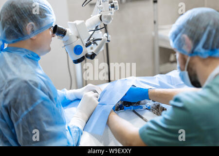 Augenarzt Chirurg durch OP-Mikroskop schwer tun. Stockfoto