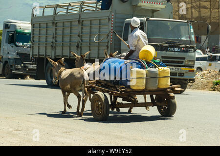 Ein kenianischer Mann, der auf einer Holzkarre sitzt, die frisches Wasser mit Eseln transportiert, die Karre ziehen, Kenia Stockfoto