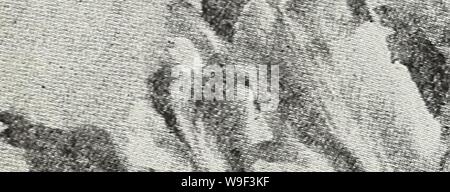 Archiv Bild von Seite 13 der Currie von Blumenzwiebeln und Pflanzen. Currie von Zwiebeln und Pflanzen: Herbst 1928 curriesbulbsplan 19 curr Jahr: 1928 (f8 Parrot Tulpen - 'Ein. aAaasa - 'aSJ, -. Papagei Tulpen großen brillanten farbigen Blumen, neugierig gesäumt und Schneiden, blühen spät in der Saison. Sie sind vollkommen winterhart und perman bleiben - auch im Freien ohne Schutz. Die Stiele extra lang sind aber in der Regel nicht stark genug, um die grossen Blüten in aufrechter Position zu unterstützen. Doa. 100 1000 Admiral Konstantinopel - Rot - orange gespitzt JgO. 75 $ 5.00 $ 45.00 Cramoisie Brillante - Tiefe Stockfoto