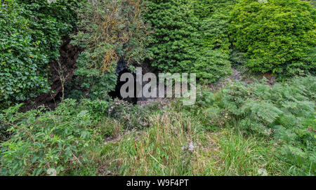 ROSEMARKIE BLACK ISLE ROSS UND CROMARTY SCHOTTLAND SOMMER WACHSTUM VON PFLANZEN UND BÄUME UM HÜTTEN HÖHLE Stockfoto