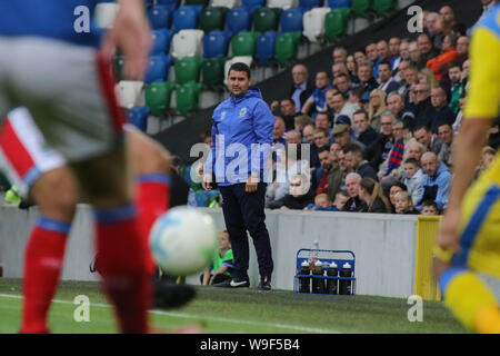 Windsor Park, Belfast, Nordirland, Großbritannien. 13. Aug 2019. UEFA Europa League, der dritten Qualifikationsrunde (2. Bein), Linfield (blau) v FK Sutjeska Niksic. Aktion von heute Abend Spiel. Linfield Manager David Healy an schaut. Quelle: David Hunter/Alamy Leben Nachrichten. Stockfoto