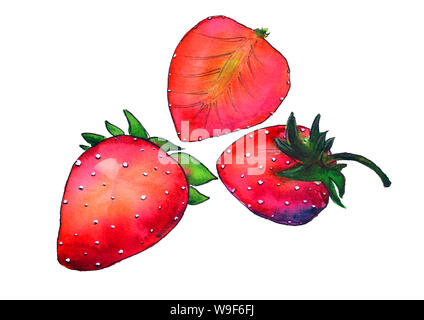 Aquarell Illustrationen mit Erdbeeren auf weißem Hintergrund Stockfoto