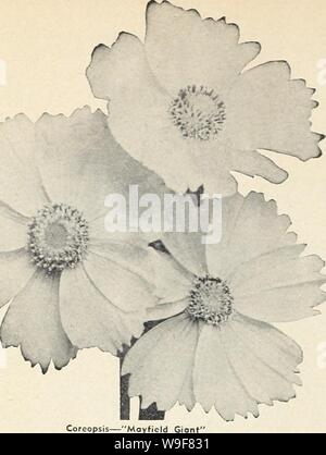 Archiv Bild von Seite 21 der Currie's Garten jährlich (1942). Currie's Garten jährliche curriesgardenann 19 curr 7 Jahr: 1942 (c Coreopsis - "oyfield Gi ANEMONE WINDFLOWER - Lorge auffälligen Blüten. Pkt.. lOe. Anemone coronaria (Mohn) - Wahl gemischte Farben. Pkt., 10 C. ST. BRIGID - Doppel ond halbgefüllte Blüten in mony Farben. Pkt., 15 e. ALICE-Rosarot-rosa, Lavendel. QUEEN CHARLOTTE - Halb-doppelt Rosa. Plonts. 35 e. VITIFOLIA (Huphiensis) - Single rosa Blumen August fallen, Lote. 12'. Pflanzen, 3SE; Dox., 53.50. Wirbelwind - Große, Halbgefüllte, reines Weiß. Pflanzen, 35 e; Doz., S 3.50. Campanula carpatica (folse Indigo) Stockfoto
