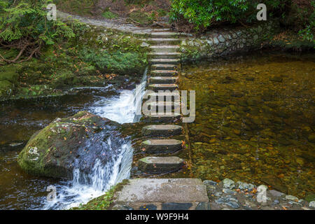 Trittsteine in der Tollymore Forest Park Stockfoto