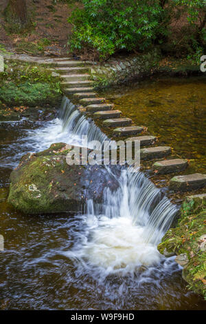 Trittsteine in der Tollymore Forest Park Stockfoto