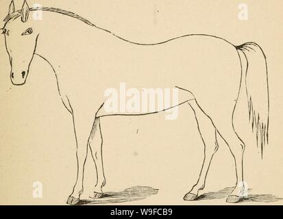 Archiv Bild von Seite der Cunningham Gerät 30 für stockmen und. Cunninghams Gerät für stockmen und Landwirte cunninghamsdevic 00 cunn Jahr: 1882 (Beschreibung Mängel Marke Stockfoto