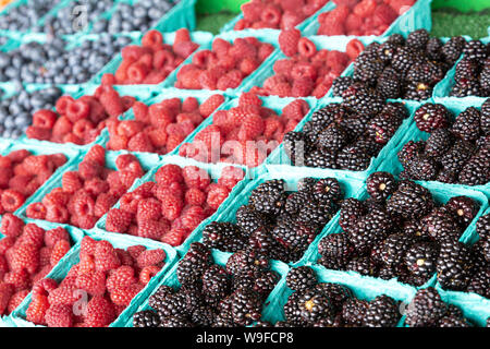 Schwarz Rot und Blau Beeren in eine Frucht Markt Stockfoto