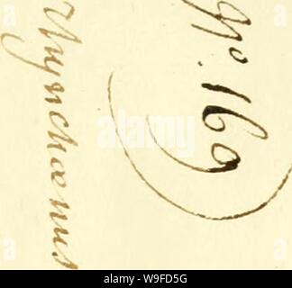 Archiv Bild von Seite 32 der [Curculionidae] (1800)