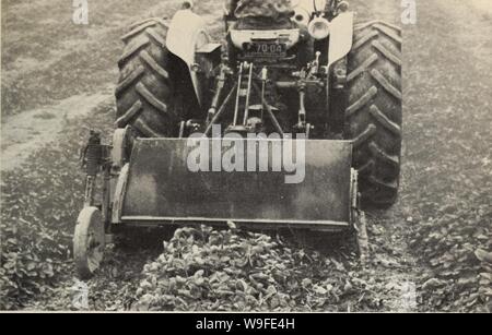 Archiv Bild von Seite 34 der Kultur du fraisier dans l'Est. Kultur du fraisier dans l'est du Canada culturedufraisie 00 crai Jahr: (Abbildung 1 5 RÃnovation du champ au moyen d'1977 un motoculteur (bÃªcheuse rotative). Les Fraisiers remontants ont une certaine valeur pour les Jardins pota-gers Mais n'ont pas donnÃde trÃ¨s Bons rÃsultats à l'Ãchelle commerciale dans l'est du Canada. Ils nÃcessitent beaucoup de travail Manuel, le coÃ"t de La Cueillette est ÃlevÃet les rendements sind ins peu satisfaisants. Dans certaines rÃgions, Le Temps froid empÃªche la Reifung d'une grande Partie de Stockfoto