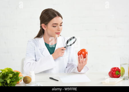 Ernährungsberater in weißen Mantel an Tomaten durch Lupe Stockfoto