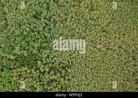 Antenne top-down-Sicht auf einem entfernten Standort an der Ostsee Küste. Stockfoto