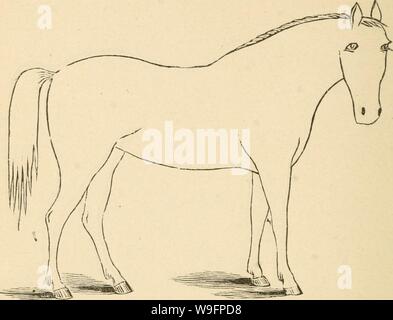 Archiv Bild von Seite der Cunningham Gerät 61 für stockmen und. Cunninghams Gerät für stockmen und Landwirte cunninghamsdevic 00 cunn Jahr: 1882 (Beschreibung Farbe markiert Höhe Stockfoto