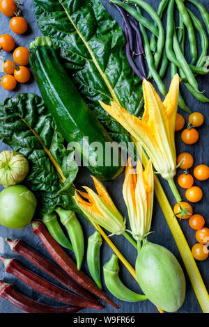 Frische Zutaten aus dem Gemüsegarten: Zucchini, Zucchini Blüten, Okra, Tomatillos, Tomaten, violetten und grünen Bohnen und Mangold. Stockfoto