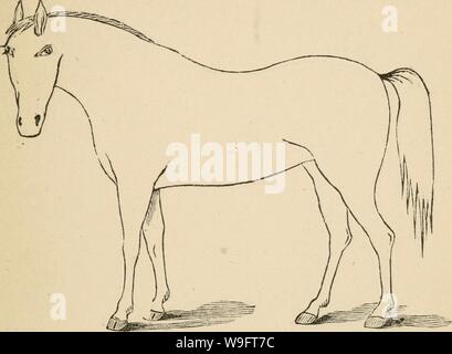 Archiv Bild von Seite der Cunningham Gerät 68 für stockmen und. Cunninghams Gerät für stockmen und Landwirte cunninghamsdevic 00 cunn Jahr: 1882 (Beschreibung Mängel Marke Stockfoto