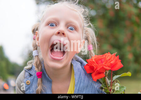 An der schönen roten Verwunderte rose Liebe Stockfoto