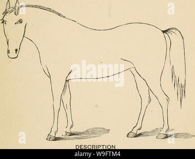 Archiv Bild von Seite der Cunningham Gerät 70 für stockmen und Stockfoto