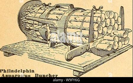 Archiv Bild von Seite 82 Currie's Farm und Garten jährliche. Currie's Farm und Garten jährliche: Frühjahr 1926 curriesfarmgarde 19 curr 9 Jahr: 1926 (LISTE DER GARTEN WERKZEUGE FÜR 1926. 77 GARTEN IMPLEMENTIERT UND REQUISITEN ALIi PREISÄNDERUNGEN OHNE VORANKÜNDIGUNG Philadelphia Philadelphia Spargel Bancher Asparasua Bancher-Standard Größe. Die Bündel 4 bis 5 Zoll 7 bis 10 Zoll lang - 0,5 Asparagnns Messer-V-Form, schneiden Ende gut jäten Messer, $ 0,50; per mail Asparagriis Messer - Säge Form, $ 0.50 per mail Mais Pflanzmaschine Acme - eine einfache, re-haftet hand Pflanzmaschine. Normalpapier, $ 1,20 mit Kürbiskerne befestigen Stockfoto