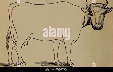 Archiv Bild von Seite der Cunningham Gerät 83 für stockmen und Stockfoto