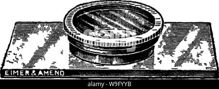 Archiv Bild von Seite 85 der Bakteriologie und Mykologie von Lebensmitteln Stockfoto