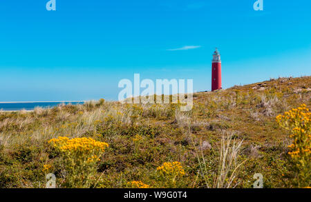 Der Leuchtturm Eierland am nördlichsten Punkt auf der Insel Texel. Es wurde 1864 erbaut und ist fast 35 Meter hoch. Stockfoto