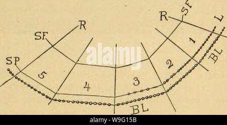 Archiv Bild von Seite 90 der amerikanischen Spinnen und ihre Spinnen. Amerikanische spinnen und ihre Spinnen. Eine natürliche Geschichte der orbweaving Spinnen der Vereinigten Staaten, insbesondere im Hinblick auf ihre Branche und Gewohnheiten CUbiodiversity 1121211-9742 Jahr: 1889 (die von ARMATUKE ORBWEBS: ZÄHFLÜSSIG Spiralen. 91 und Abb. 86 wird ein Teil der einen Strick, die Orb-Weber in ihrem Spiralen dreht. Sie ihre Aufgabe entlang der durchgehenden Linie, BL beendet hat, und arbeitet auf eine Linie L.. Nur hinaus,-Series-implementierung hinter ihr, die zeichenfolge nummeriert 5 zeigt eine weiße ungebrochen Oberfläche; Nr. 4 i Stockfoto