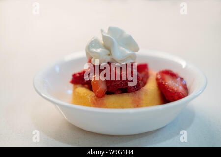 Erdbeeren auf Schwamm Kuchen mit Schlagsahne. Strawberry Shortcake. USA. Stockfoto