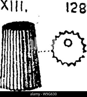 Archiv Bild von Seite 120 Wörterbuch der Fossilien