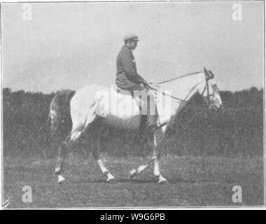 Archiv Bild ab Seite 124 der Punkte des Pferdes; ein Stockfoto