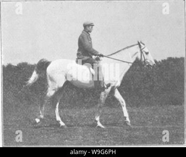 Archiv Bild ab Seite 124 der Punkte des Pferdes; ein Stockfoto