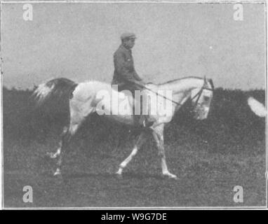 Archiv Bild ab Seite 130 der Punkte des Pferdes; ein Stockfoto