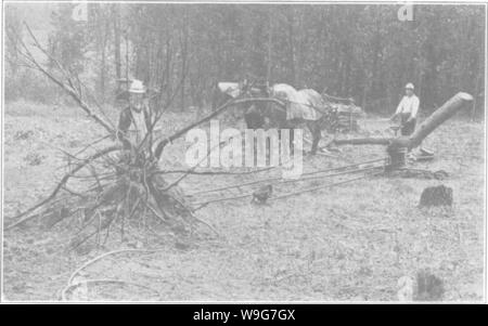 Archiv Bild ab Seite 130 Der Enzyklopädie von praktischen Gartenbau; Stockfoto