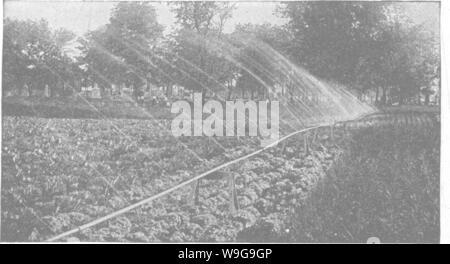 Archiv Bild ab Seite 150 der produktiven Böden; die Grundlagen der