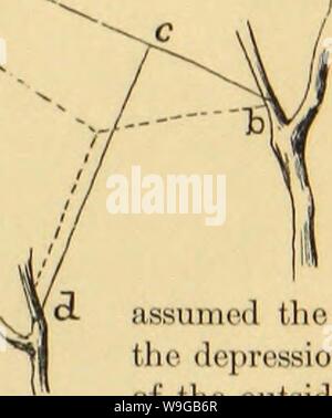 Archiv Bild von Seite 168 des amerikanischen Spinnen und Ihre Spinnerei Archiv Bild von Seite 168 des amerikanischen Spinnen und Ihre Spinnerei