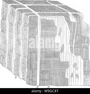 Archiv Bild von Seite 177 Holz und einige seiner Stockfoto