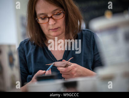 01.August 2019 Hessen, Frankfurt/Main: Hildegard Enting, zoologische Präparator im Frankfurter Senckenberg Natural History Museum, entsteht ein Modell eines blauen Hirte Schnecke (costasiella Kuroshimae) aus Plastilin, erweiterten 20-mal, die werden im Rahmen einer permanenten Ausstellung zum Thema Korallenriffe im Jahr 2020 als Teil der Renovierung des Museums werden. Foto: Frank Rumpenhorst/dpa Stockfoto