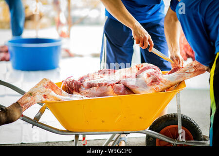 Rohes Fleisch vom Tier Schlachten durchgeführt an einem dritten Tag von Hari Raya Aidil Adha in Malaysia. Fleisch befördert mit sauberem wheel Barrow während Stockfoto